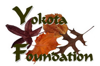 YOKOTA FOUNDATION logo