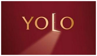 YOLO logo