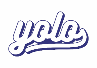 YOLO logo