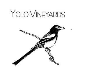 YOLO VINEYARDS logo