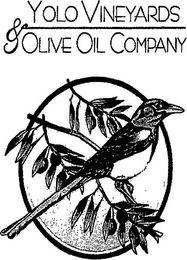 YOLO VINEYARDS & OLIVE OIL COMPANY logo