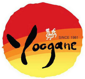 YOOGANE SINCE 1981 logo