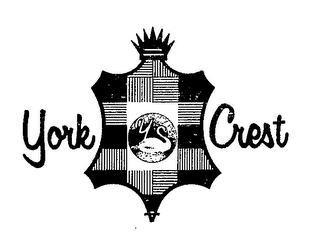 YORK CREST Y logo