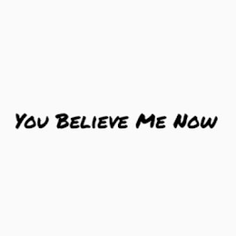 YOU BELIEVE ME NOW