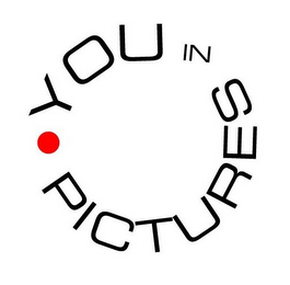 YOU IN PICTURES logo