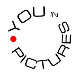 YOU IN PICTURES logo