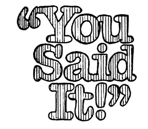 "YOU SAID IT!" logo
