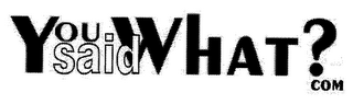 YOU SAID WHAT? COM logo