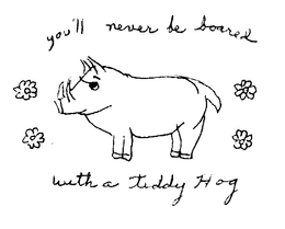 YOU'LL NEVER BE BOARED WITH A TEDDY HOG logo