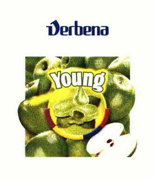 YOUNG logo
