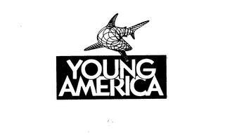 YOUNG AMERICA logo