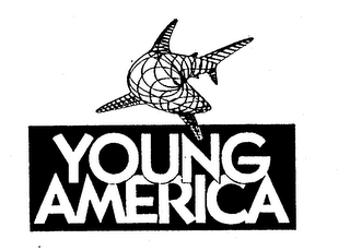YOUNG AMERICA logo