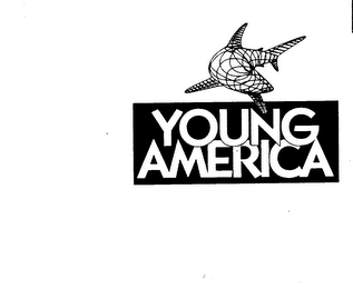 YOUNG AMERICA logo