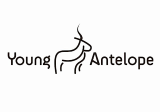 YOUNG ANTELOPE logo