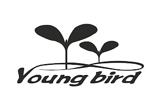 YOUNG BIRD logo