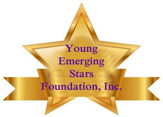 YOUNG EMERGING STARS FOUNDATION, INC. logo