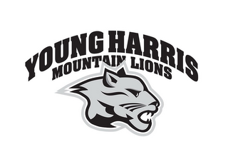 YOUNG HARRIS MOUNTAIN LIONS logo