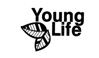 YOUNG LIFE logo