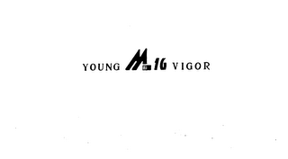 YOUNG M-16 VIGOR logo