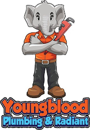 YOUNGBLOOD PLUMBING & RADIANT logo