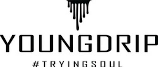 YOUNGDRIP #TRYINGSOUL logo