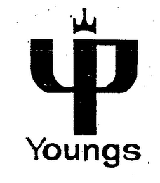YOUNGS YP logo