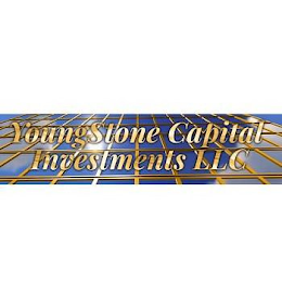 YOUNGSTONE CAPITAL INVESTMENTS LLC logo