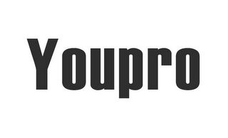 YOUPRO logo