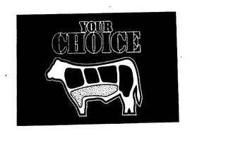 YOUR CHOICE logo
