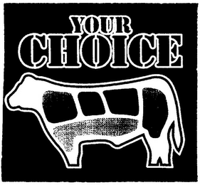 YOUR CHOICE logo