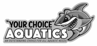 YOUR CHOICE AQUATICS AN OUTSTANDING CHOICE FOR ALL AQUATIC NEEDS logo