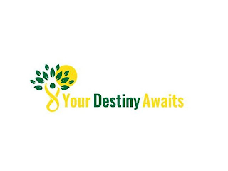 YOUR DESTINY AWAITS logo
