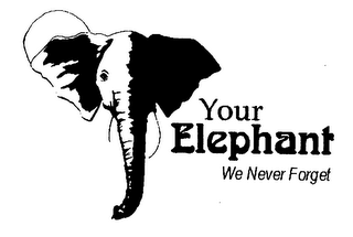 YOUR ELEPHANT WE NEVER FORGET logo