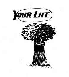 YOUR LIFE logo