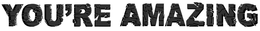 YOU'RE AMAZING logo