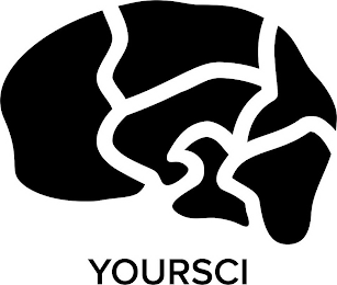 YOURSCI logo
