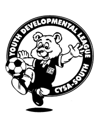 YOUTH DEVELOPMENTAL LEAGE CYSA-SOUTH CYSA CAL SOUTH logo