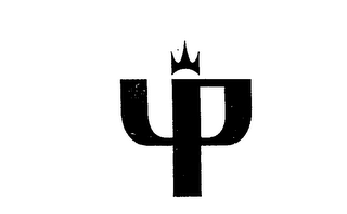 YP logo