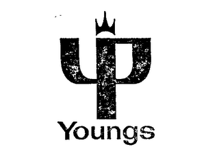 YP YOUNGS logo