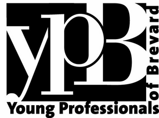 YPB YOUNG PROFESSIONALS OF BREVARD logo