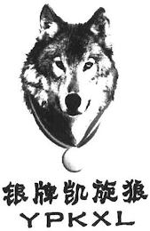 YPKXL logo