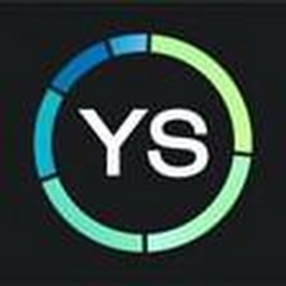 YS logo