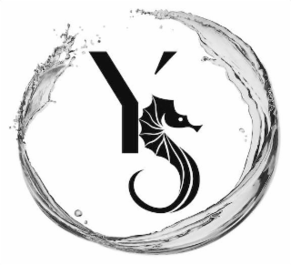 YS logo