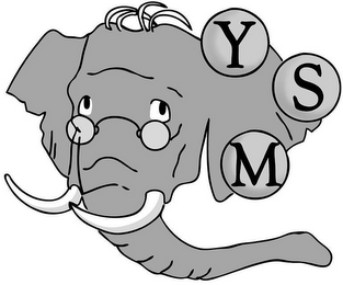 YSM logo