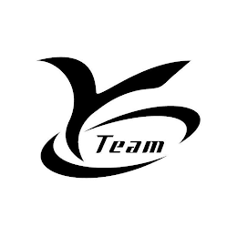 YTEAM logo