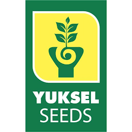 YUKSEL SEEDS logo