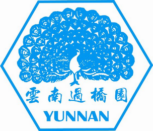 YUNNAN logo