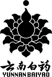 YUNNAN BAIYAO logo