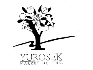 YUROSEK MARKETING, INC. logo