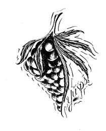 YURPS logo